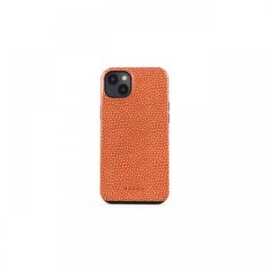 Protectie Spate Burga Dual Layer Vintage Edition pentru Apple iPhone 14 (Multicolor) Protectie Spate Burga Dual Layer Vintage Edition pentru Apple iPhone 14 (Multicolor)