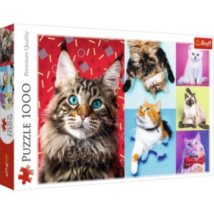 Puzzle Trefl Pisicute fericite, 1000 piese Puzzle Trefl Pisicute fericite, 1000 piese