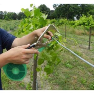 Aparat de legat via, legume si pomi fructiferi Model Nou, Micul Fermier GF-0200 Aparat de legat via, legume si pomi fructiferi Model Nou, Micul Fermier GF-0200