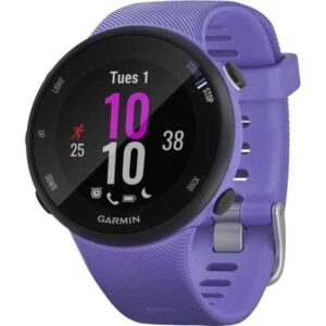Smartwatch Garmin Forerunner 45s, Iris Smartwatch Garmin Forerunner 45s, Iris
