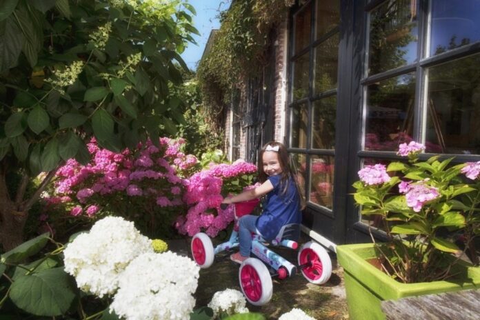 Kart BERG Buzzy Bloom Kart BERG Buzzy Bloom