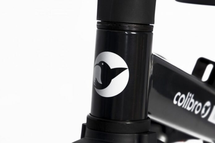 Tricicleta pentru copii Colibro Tremix Magnetic transformabila, 4 in 1, Ride On cu scaun reglabil, roti din cauciuc pana la 25 kg
