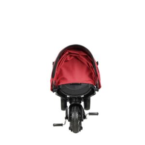 Tricicleta pentru copii Qplay Nova Niello Negru ultrapliabila, cu cadru din aluminiu, sezut reversibil 360, spatar reglabil, suport pentru picioare, roti din cauciuc Eva de la 10 luni pana la 25 kg Tricicleta pentru copii Qplay Nova Niello Negru ultrapliabila, cu cadru din aluminiu, sezut reversibil 360, spatar reglabil, suport pentru picioare, roti din cauciuc Eva de la 10 luni pana la 25 kg