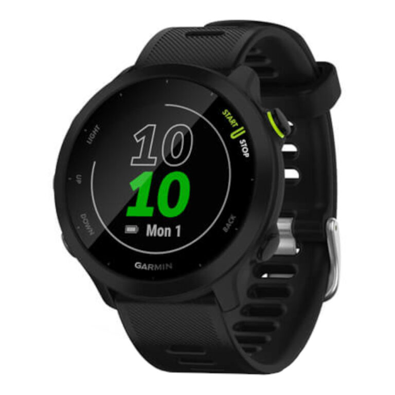 Smartwatch Garmin Forerunner 55, GPS, Gri